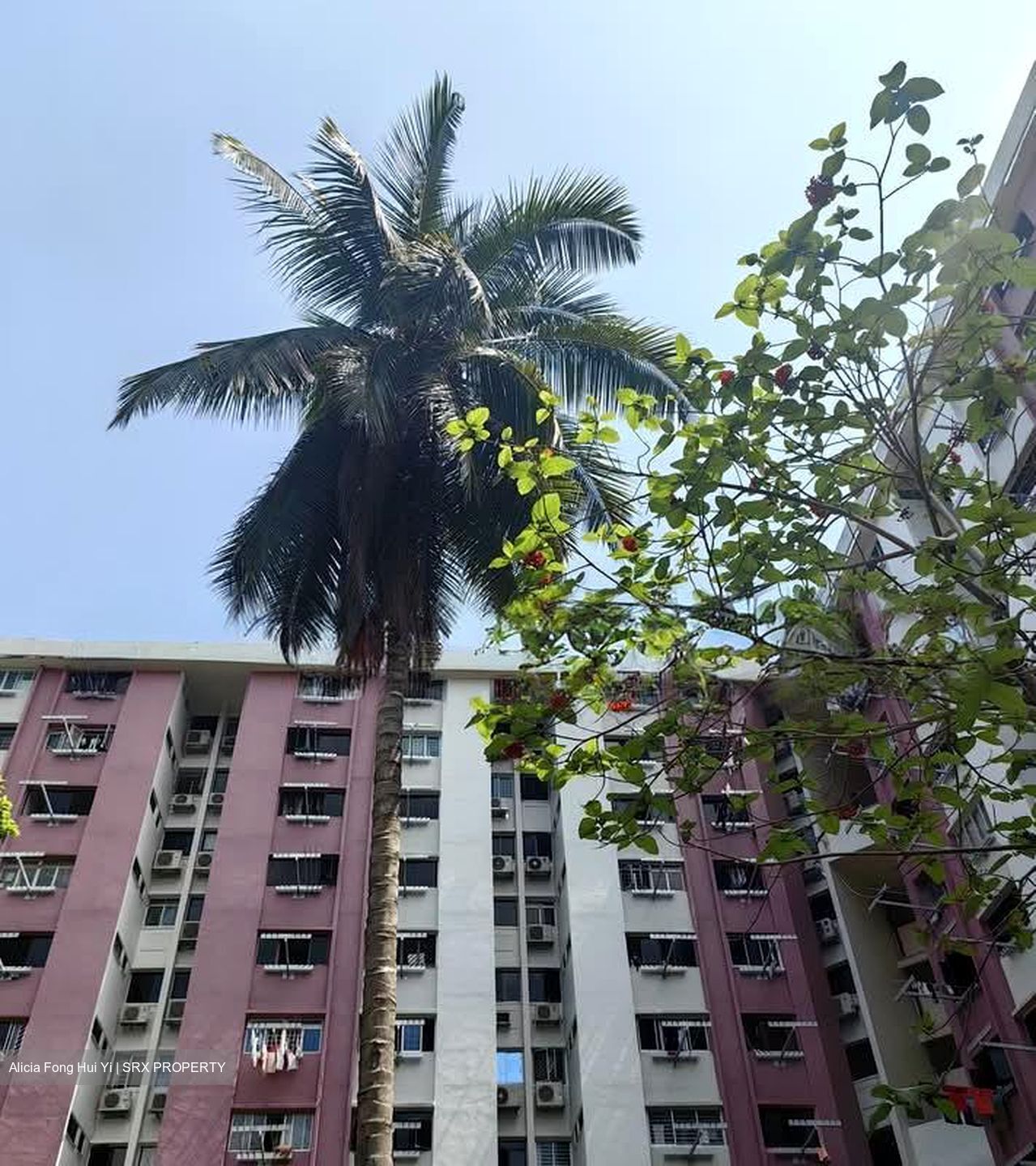 Blk 610 Ang Mo Kio Avenue 4 (Ang Mo Kio), HDB 4 Rooms #621323421